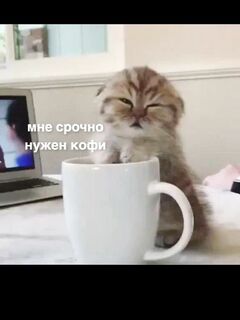 Проверка с телефона: загрузка работает нормально, повторю с ПК