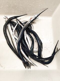 Лермонтово и Бжид: волна мешала чуларке, но сарган на бомбарду работал