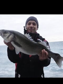 Показал улов «вот вам рыба»: короткая фиксация без временных и тактических подробностей