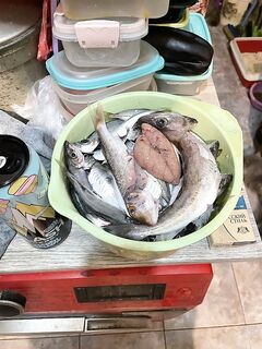 Выход в море на ставриду и смариду: общим весом около 5-7 кг, распотрошено под жарку