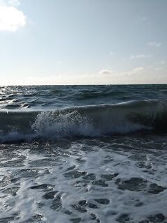 Вылазка за сарганом: нереис в приоритете, говядинка тоже шла; к 9:30 усилились ветер и волна