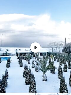 Локальная «лирань»: короткая отметка по виду рыбы без развёрнутых деталей