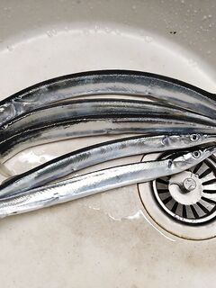 Трудовой день по саргану: бомбарда 10 г, нереис, мясо, креветка; много сходов из-за кости