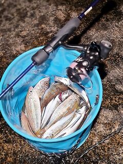 Ялта, два вечера подряд: в первый ставридка, во второй окунь; бомбарда 3,5 г и «маракуя»