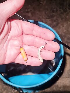 Ялта, буна 19–23: зелёные, окунь, ставрида и отпущенный горбыль, снасти и диаметр лесок