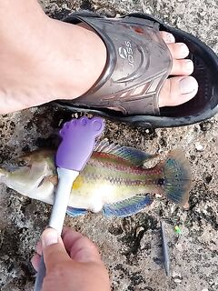 Новый Свет, октябрь: зеленуха за триста, спиннинг до 25 г и азартный пирс