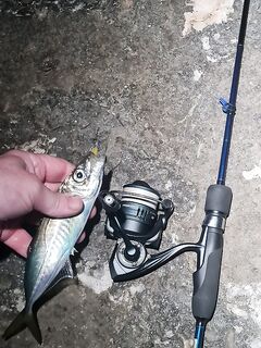 Ялта, охота за глазаткой после полуночи: 1,5 г + зелёный силикон