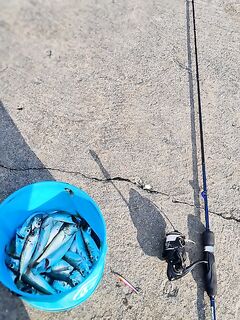 Трава и ветер до ночи, в 2:00 море очистило — пошла рыба