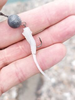 После шторма вода чище: у дна карась и горбыль, сверху мелкая ставрида