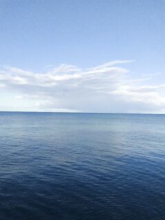 Утренние 15 минут: две барабульки для отметки — и домой