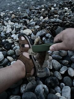 Имеретинка днём: кефаль на поплавок, на джиг — ерши