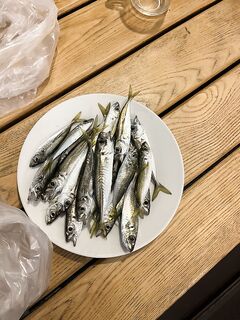 Головинка, 19–21: благодарность мастеру на буне и первая ставрида в зачёт