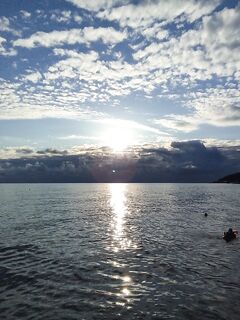 Вечер до полдесятого: собачки на сухого нереиса и семь средних ставрид