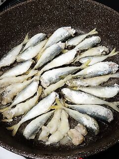 Первый выход после года: пикша малая и ставрида, старт фотофиксации