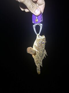 Вечер спокойный: пара близнецов-скорпенок, кефаль не в теме