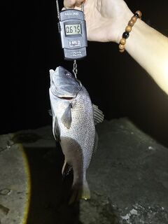 ЮБК, Понизовка — вечер: два горбыля (670 г лучший), остальное — фон