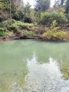 Абхазия, реки и море: отпуск в Гудауте, спиннинг и поплавок, форель на кукурузу