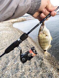 Крючки под ласкиря: №8–10, главное острота — Gamakatsu в приоритете