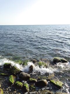 Вечер за карасём: поклёвки на каждом забросе, реализация хромает, силикон отгрызают