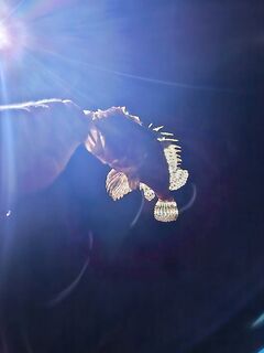 Новороссийск — первый опыт: тиролька с виброхвостом и сухим червём, весь улов отпущен