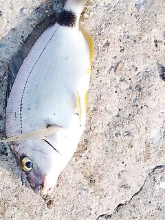 Большой Утриш — бомбарда в работе: переезд, проверка свалов