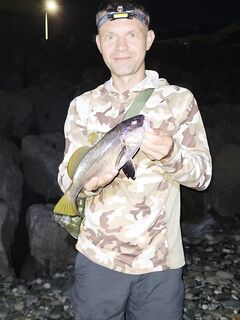 Имеретинка онлайн: контроль точки и темпа проводки