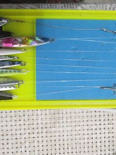 Сочи — готовим снасти: проверим, как поживают луфарь и сарган