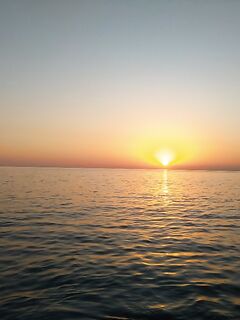 Сарган капризничал — курица, нереис, красный червь, пилькеры молчат