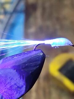 После штормов и дождей — пауза перед морской рыбалкой на саргана