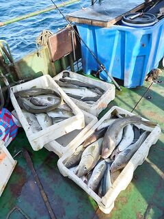 Морская рыбалка в Териберке — быстрый выезд по погоде и льду?