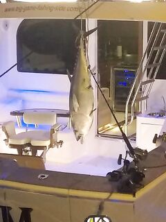 Турция, Сиде — big game: сезоны тунца, меч-рыбы и новый катер