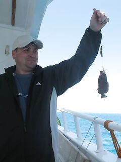 Египетская вылазка: красивая яхта, но снасти «совок» и мелко — трофей не случился