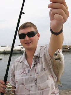 Испания с пирса: дорада на кусочки сардины — зубастая и любимая у местных