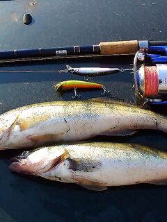 Снасти Черного моря без экзотики: сбиролино, самодур, нереис и креветка