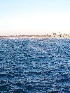 Первый снег у моря: сильный западный ветер, Несебр и покупка свежей барабульки