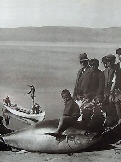 Несебр 1940-х на старых снимках: какой улов брали раньше у пирса и на промысле