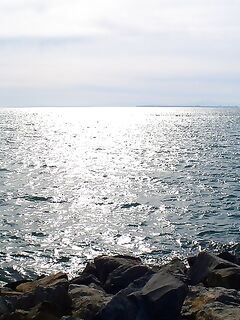 Куда ушла рыба при юго-западном ветре: Несебр и Поморие без клева два дня подряд