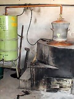 Ракии Болгарии: гроздова и плодова, смокинова и «гюлова» — заметки к рыбацкому застолью