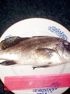 Шторм и дождь — 6 часов упирался и спас улов от кошки