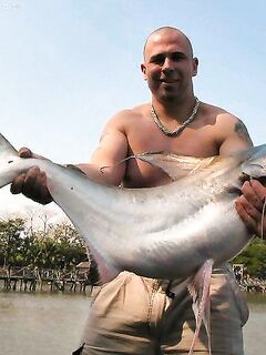 Pangasius micronemus — ссылка на вид, отметил для себя