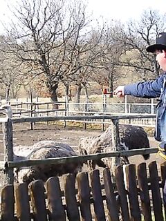 Болгария — саргана рано, ушли в горы, пурга и безрыбье