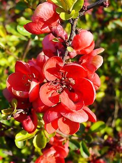 Весна к берегу — море и прибрежные лиманы оживают