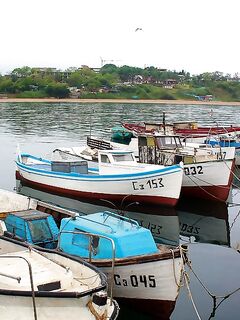 Бургас, дожди и самодур: ставридка любит плохую погоду