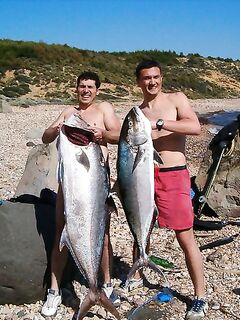 Турция, подводная охота: две ричолы 50 и 19 кг — мощные трофеи