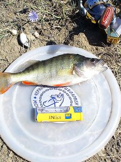 Лето в разгаре: когда по морю пусто — уезжаю на пресные воды