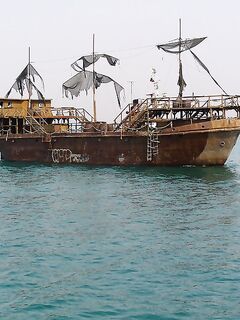 День второй под жарой: безрыбье и один маленький сарган