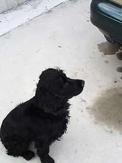 Первый луфар сезона: ранний выезд в Порт Бургас и стартовая рыба