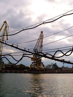 Рабочий день: 1 луфар и 24 ставриды — темп держится на струйке