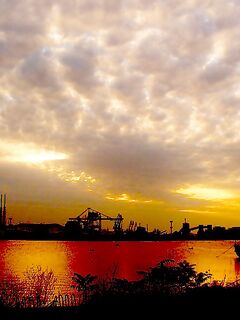 Луфари ушли, остались чернокопы: ищем паламуда, погода дождевая