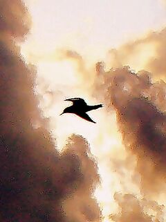 Порт Бургас перед штормом: утренние кадры и сборы под погоду